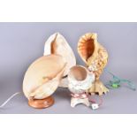 Four sea shell table lamps, a collection of larger shells converted into decorative table lamps,