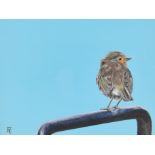 Rosalind Hewitt, oil on canvas, acrylic, Robin perched on a rail with blue sky. Signed monogram