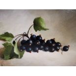 Susie Philipps, oil on board, fruit still life of black currants. Monogrammed lower left. 21cm x