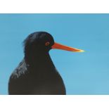 Rosalind Hewitt, oil on canvas, acrylic, side profile of a bird with blue sky. Signed 'R. E. Hewitt'