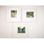 Nicholas Smith signed prints, entitled 'Mallards on the River', 'Blue Waters', and 'Tranquil