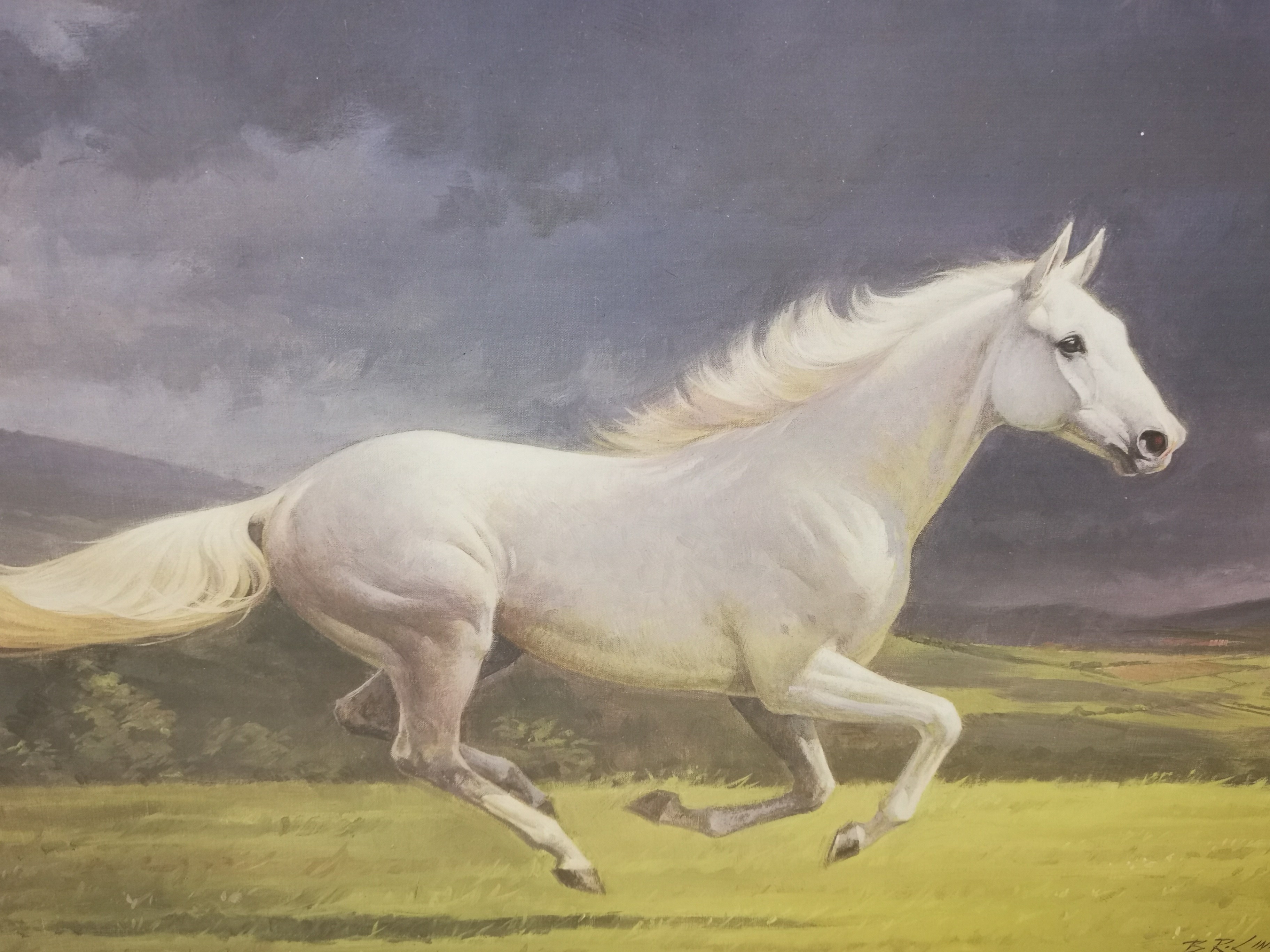 Barrie R. Linklater signed limited edition print, study of a race horse running in the