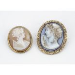 A 19th Century classical shell carved cameo, in gilt metal frame depicting a female profile with