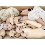 A large quantity of doll's body parts, in six fruit trays, bodies, legs, arms and few heads (some