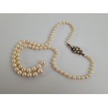 A string of graduated cultured pearls on a 9ct gold clasp, the knotted strung pearls af to centre,