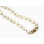 A string of uniform cultured knotted pearls, on a 9ct gold bow clasp, 6.4mm diameter, 24cm together,