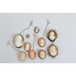 A collection of shell cameo brooches, mostly of oval shape, a white metal example, two in rolled