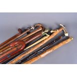 A large collection of walking sticks and canes, all with different designs, antler handled, brass