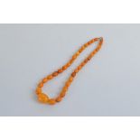 A string of oval graduated toffee coloured amber beads, largest bead 2.2cm x 1.5cm, smallest bead
