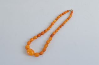 A string of oval graduated toffee coloured amber beads, largest bead 2.2cm x 1.5cm, smallest bead