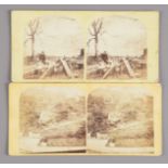 Stereoscopic Cards, UK topographical, including G W Wilson (58), coloured genre (11), statuary (