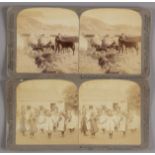Underwood & Underwood Stereoscopic Cards, Ireland, F (62) and Is Marriage A Failure Through The