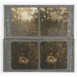 Early 20th Century Stereoscopic Glass Diapositives, taken by very competent amateur or