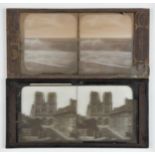 Stereoscopic Glass Diapositives, with printed label 'Charles Breese, Birmingham 'What Are The Wild