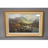 19th century (British School), 30cm by 50cm, oil on canvas, Highland River scene, indestictively