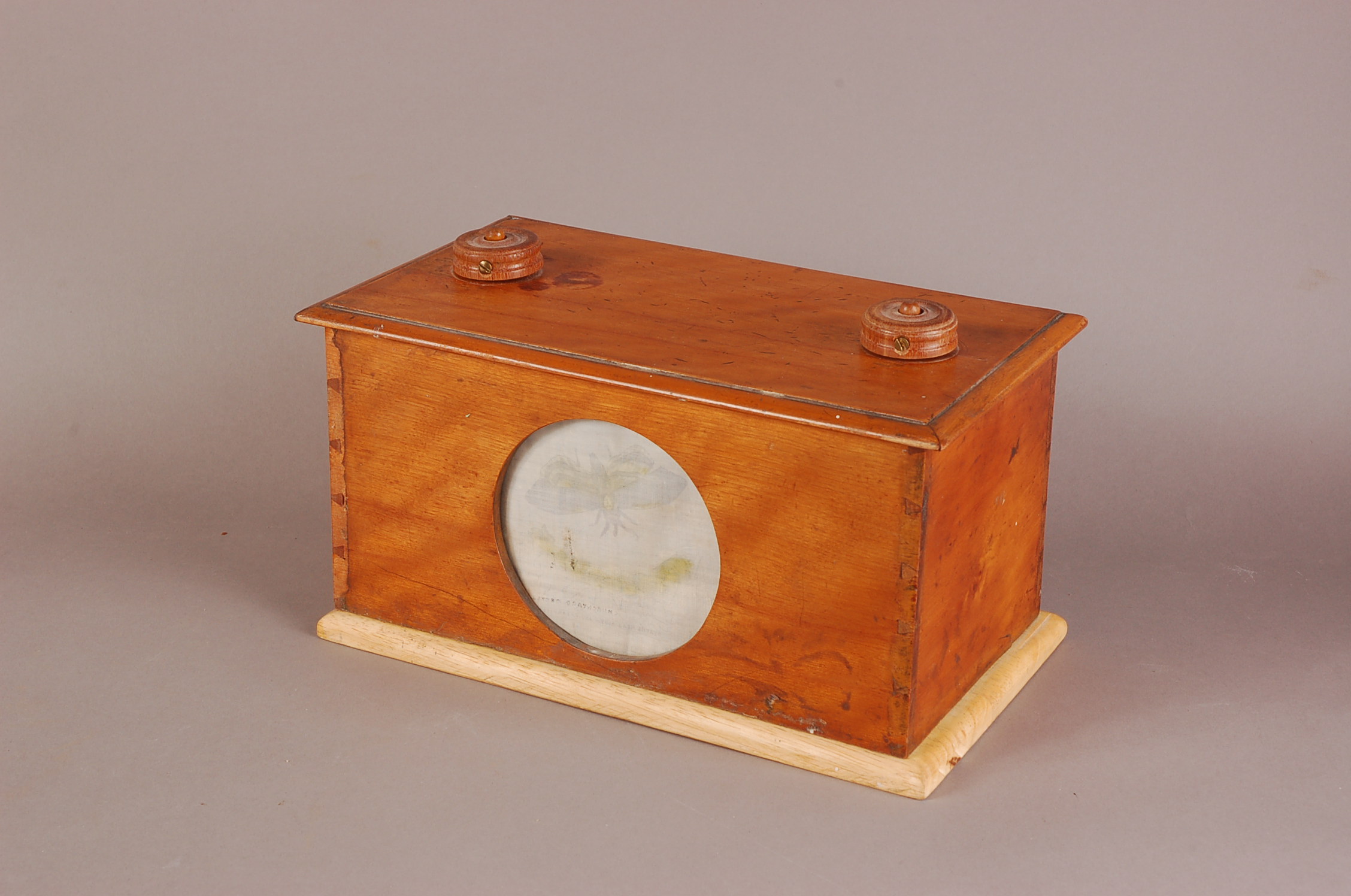 A Victorian wooden animal and insect and natural world viewer, the rectangular box with opening flap