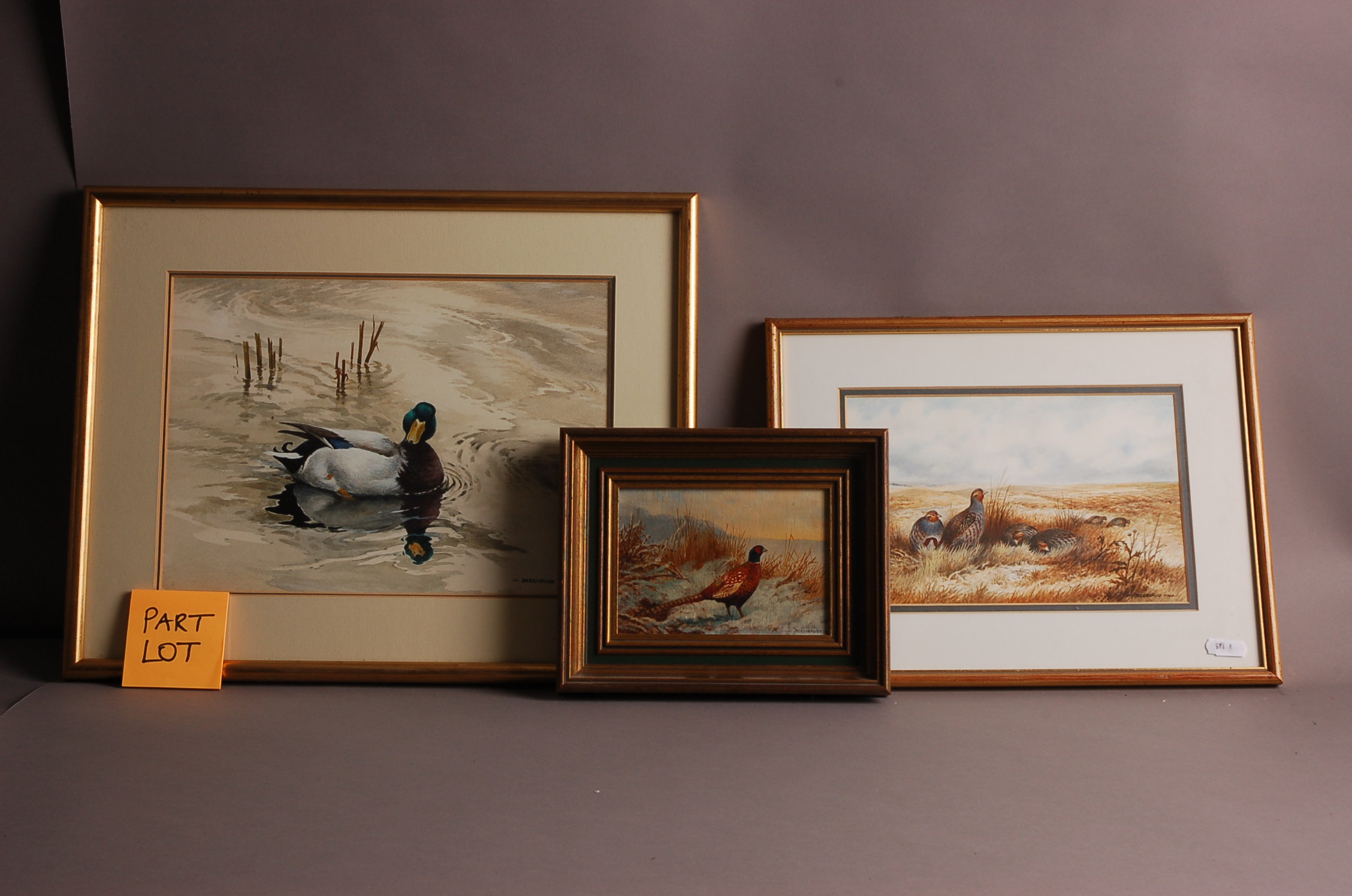 Beresford Hill (20th/21st century), eight paintings of birds, including four watercolours, Woodsnipe