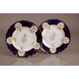 A pair of late Victorian J. Allsop porcelain plates, 26cm, marked to undersides