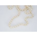 A string of uniform knotted strung cultured pearls, 7.1 and 7.3mm, 47 cm together