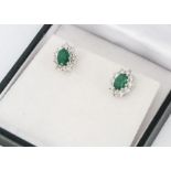 A pair of emerald and diamond cluster ear studs, oval claw set emeralds surrounded by brilliant