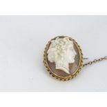 A 19th Century shell cameo oval brooch, with carving of a classical females profile within a gold