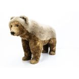 A large bear on all fours circa 1910, probably Bing with brown mohair, black boot button eyes,