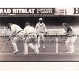 CRICKET Approximately 50 Press stills with the majority being 10" X 8" action shots with stamps on