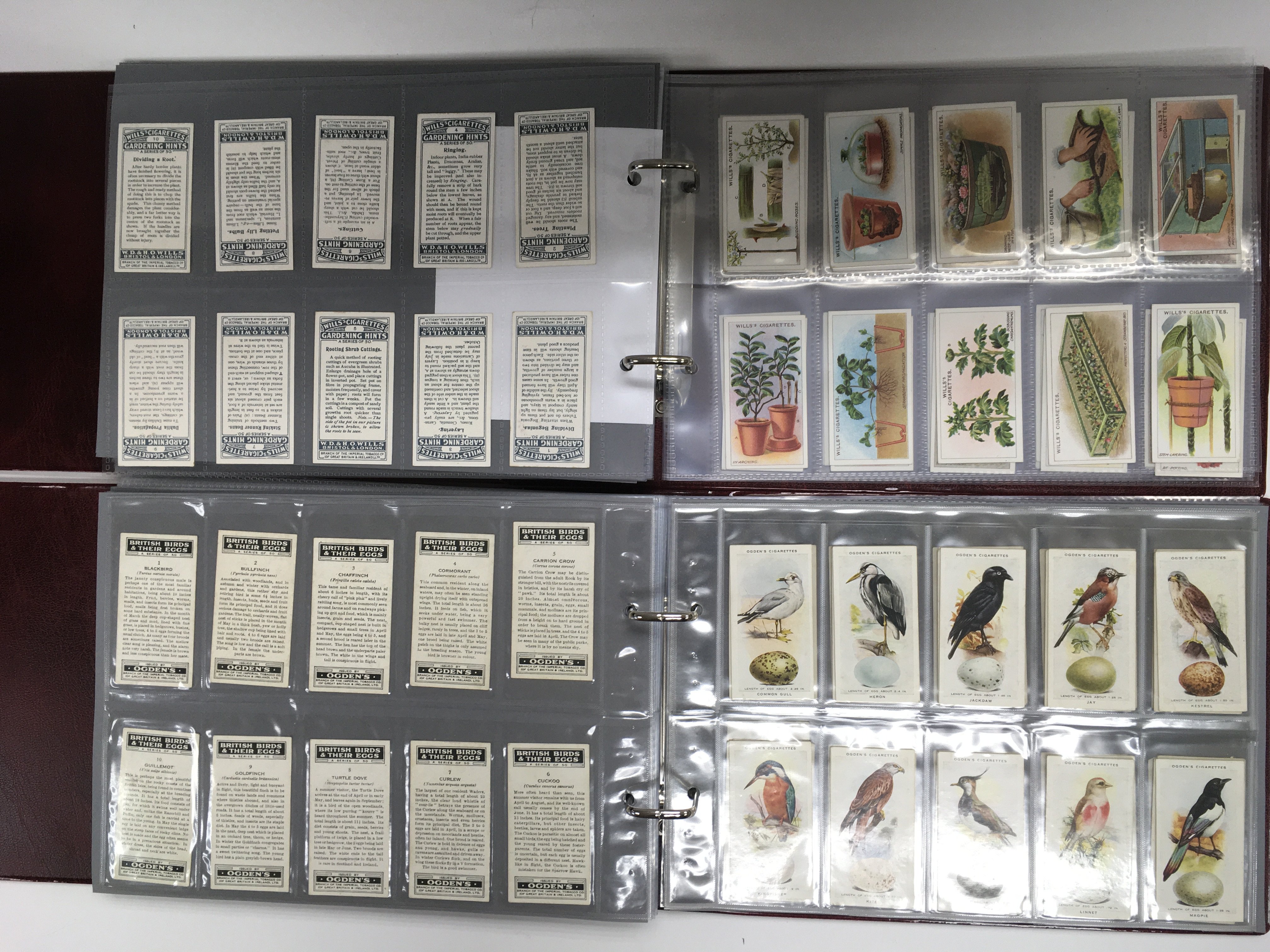 Six albums of cigarette cards and trade cards, var - Image 2 of 3