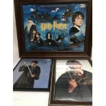 Two framed Harry Potter signed photos of Daniel Ra