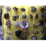 A cushion of 25 brooches.