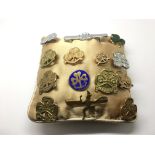 A collection of girl guides badges presented on a