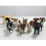 A collection of ten Beswick dog breed ornaments sm