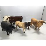 A collection of Beswick cows a Hereford bull Aberd