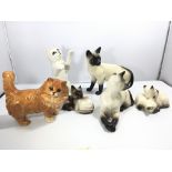 A collection of Beswick porcelain cats including S