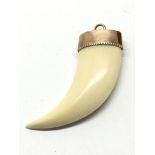 An 18k gold tooth animal tooth shaped pendant, tes