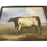 A framed water colour of the Durham Ox after Georg