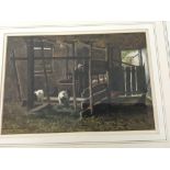 A framed 19 th century watercolour feeding the goa