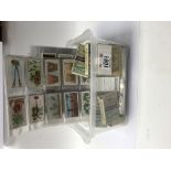 A box of approximately 1500 cigarette cards.