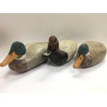 Three early 20th Century carved hardwood decoy duc