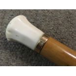 An Ivory topped walking stick with 9ct gold ring