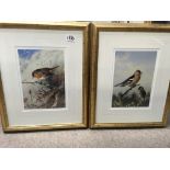 Four Archibald Thorne Limited edition bird prints.