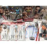 A Collection of Carded WWE Figures including Paige