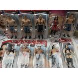 A Collection of WWE Carded figures including Paige