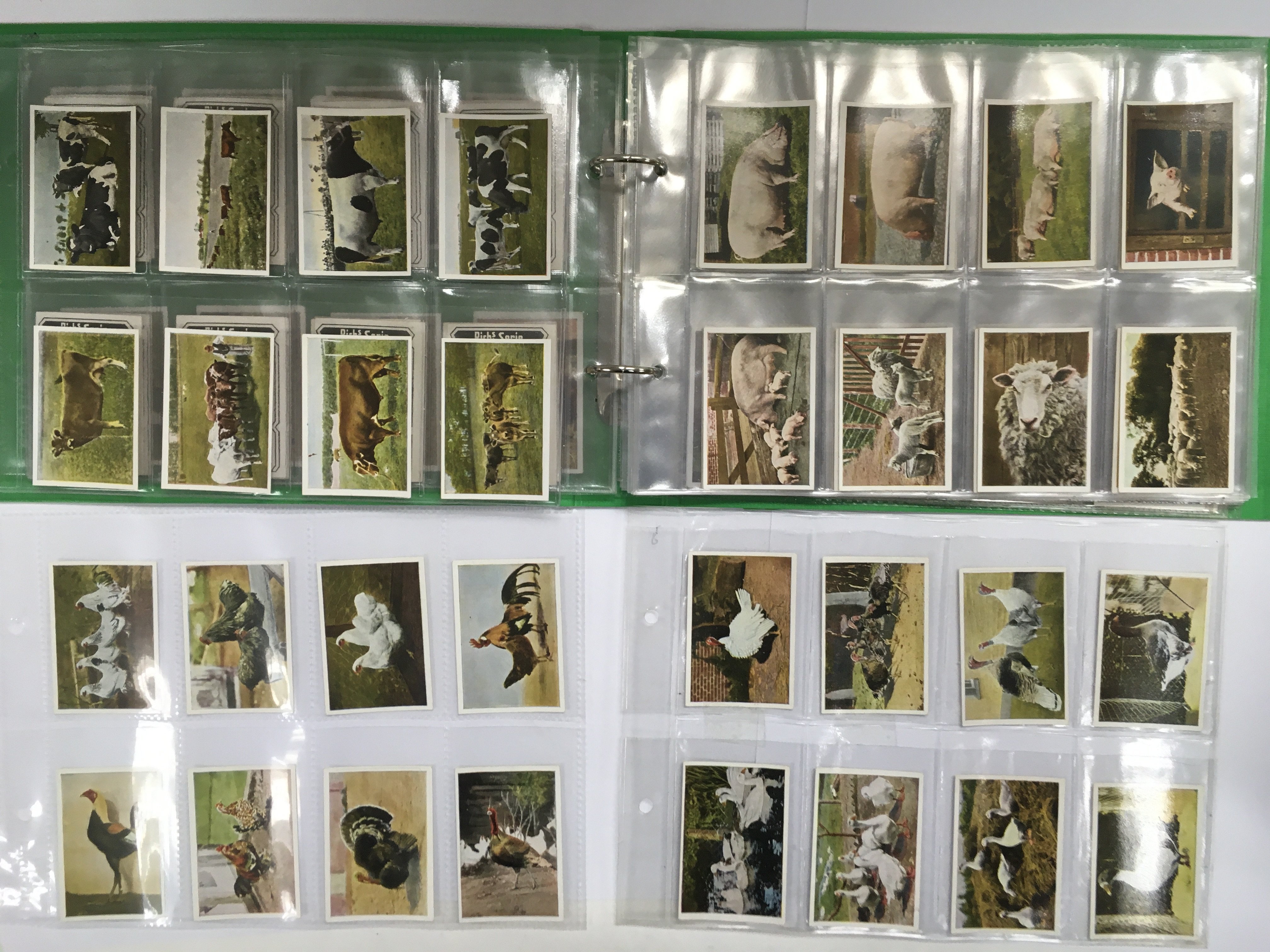 A complete set of 162 Rich & Serie cigarette cards - Image 2 of 2