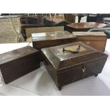 A burr maple 19th century tea caddy with two internal sections a burr walnut box and Victorian