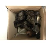 A box containing an assortment of odds. Including an antique mink fur hat, a 19th century