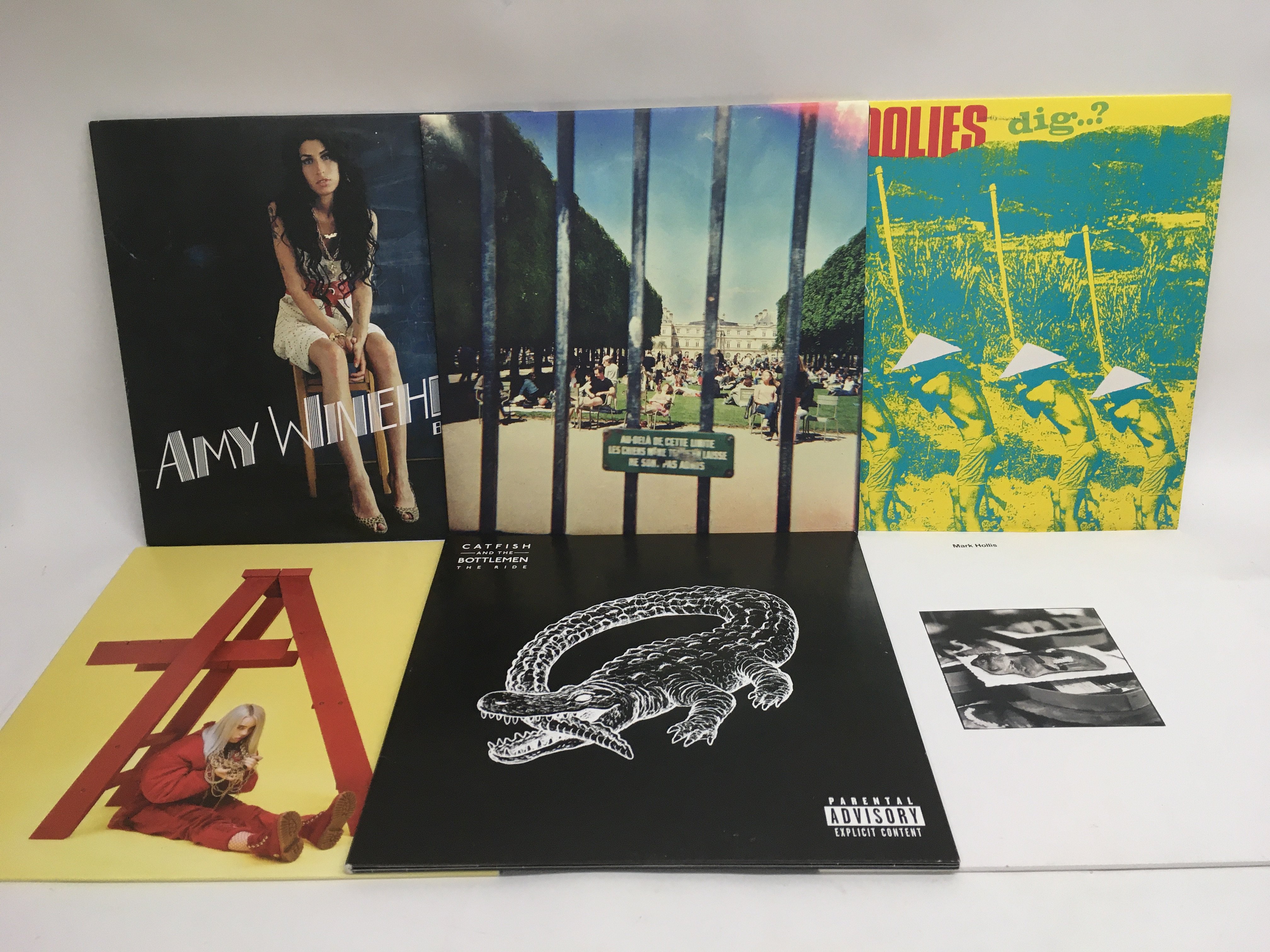 Six indie alternative LPs by various artists inclu