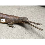 Taxidermy interest - an early 20th century Gharial