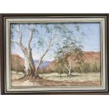 A framed oil on board of Chambers Gorge, Australia