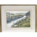 Three framed and glazed Elaine Petts watercolours